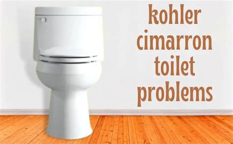 kohler cimarron toilet seat problems